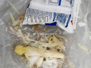 多功能自己削姜被姜罚木勺，使用方便卫生